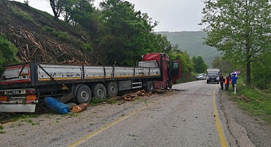 Çamiçi Yayla Yolunda Odun Yüklü Tır Devrildi : 1 Yaralı