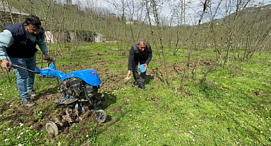 Ordu'da Yaklaşık 10 Yılda 3 Bin Örnek Fındık Bahçesi Oluşturuldu