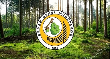 ORMAN YENİ YOL YAPIM İŞİ