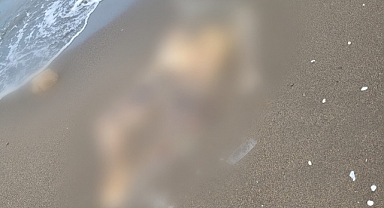 Sahilde Dolaşan Muhtar Deniz Kenarında Ceset Buldu