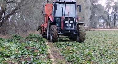 Artova'da Pancar Hasadı Sürüyor