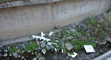 ÇANAKÇIYA SAHİP ÇIKALIM