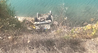 Eşek Arısı Kazaya Neden Oldu