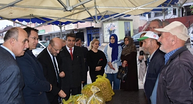 Niksar'ın Altın Cevizleri Görücüye Çıktı