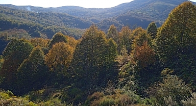 Ordu'nun Yaylalarında Sonbahar Güzelliği