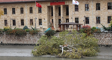 Amasya'da fırtınana asırlık çınarı devirdi