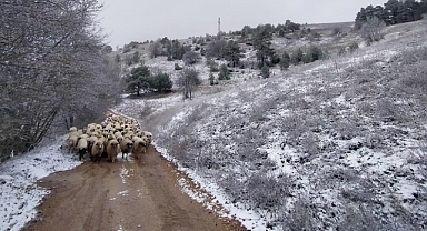 Başçiftlik'te Çobanlar Yaylada Mahsur Kaldı