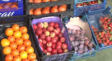 Kış Meyvelerinin Hasadı Gecikecek