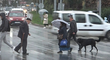 Su Uzmanı Profesör Türkiye'de Su Seferberliği Başlatılmalı