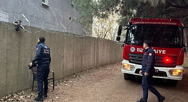 Samsun'da askeri alanda tellere takılan kediyi itfaiye ekipleri kurtardı