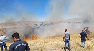 20 dekar ekili alan yangında kül oldu