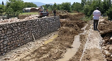 Dere ıslahından etkilenen kaplumbağalar taşındı