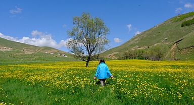 Sarıçiçek Köyünün Sarıçiçekleri Açtı