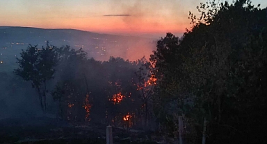 Niksar'da Bir Orman Yangını Daha!