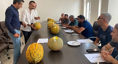 Sivas’ta 24. Akıncılar Kültür Sanat ve Kavun Festivali Coşkuyla Kutlandı