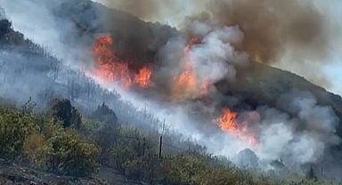 Tokat'ta Orman yangın