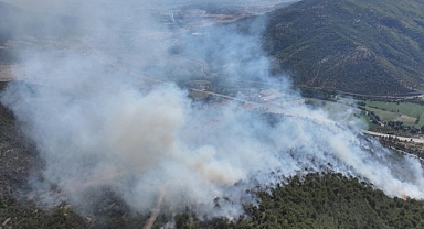 Tokat'ta Ormanlık Alanda Çıkan Yangına Müdahale Ediliyor