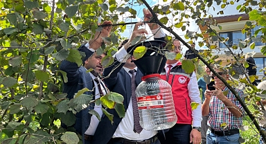 Kokarcaya feromon tuzak: Cezbet-yoket