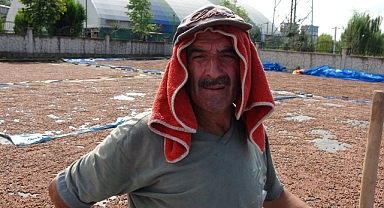 Ordu’da üreticilerin zorlu fındık kurutma mesaisi