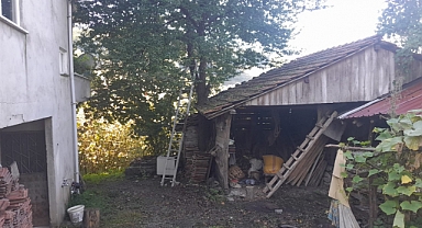 Salıpazarı'nda ağaçtan düşen kişi yaralandı