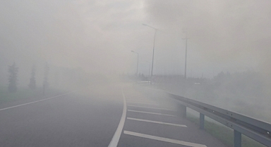 Samsun'da anız yangını sürücülere zor anlar yaşattı