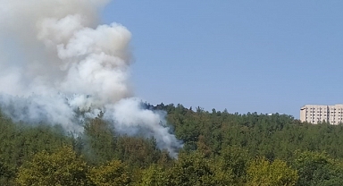 Üniversite kampüsünde orman yangını