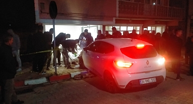 Başçiftlik'te iş yerine giren otomobilin sürücüsü yaralandı