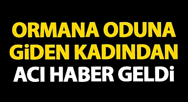 Odun Toplamak İçin Gittiği Ormanda Can Verdi