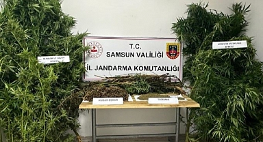 Samsun’da 1 ayda 2 bin 119 araç ve sürücüsüne 5,5 milyon TL cezai işlem uygulandı