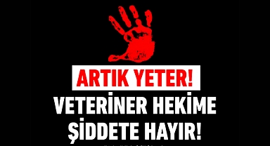 Veteriner Hekimleri Darp Ederek Hayvanları Koruyamazsınız! 
