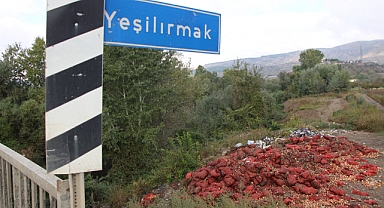 Yeşilırmak Nehri'nin kıyısına çuvallar dolusu soğan ve patlıcan döküldü