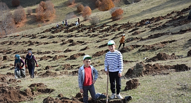 Başçiftlik'te 2 Bin 500 Fidan Toprakla Buluşturuldu