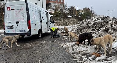 Ünye’de sokak hayvanlarına 23 ayda 24 ton mama verildi