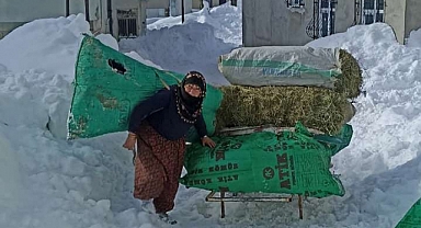 Başçiftlik’te Anadolu Kadınının Fedakârlığı