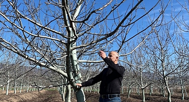 Niksar’da Tarımsal Eğitimler Hız Kesmeden Devam Ediyor