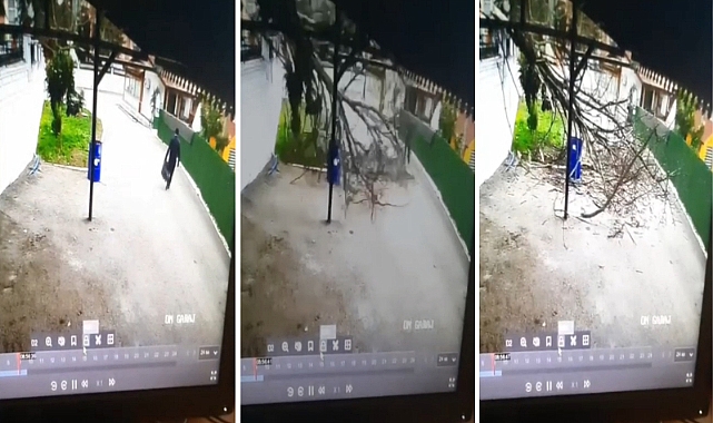 Yolda Yürüyen Vatandaş Niksar'da Ölümle Burun Buruna Geldi