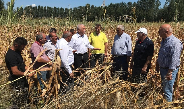 Tokat Milletvekili Durmaz’dan Mısır İthalatına Tepki: “Çiftçi Ekimde, Destek İthalatta”