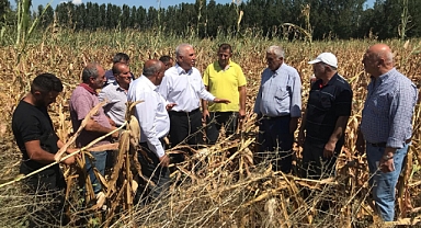 Tokat Milletvekili Durmaz’dan Mısır İthalatına Tepki: “Çiftçi Ekimde, Destek İthalatta”