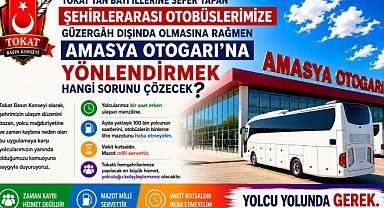 Basın Konseyinden Amasya Valiliğine tepki 