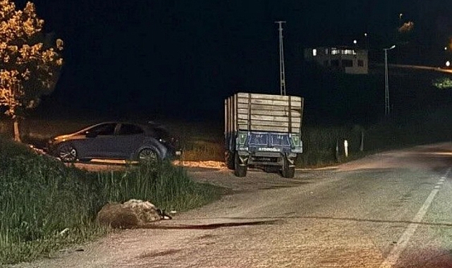 Niksar-Başçiftlik Yolunda Kaza: 5 Koyun Telef