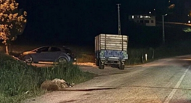 Niksar-Başçiftlik Yolunda Kaza: 5 Koyun Telef