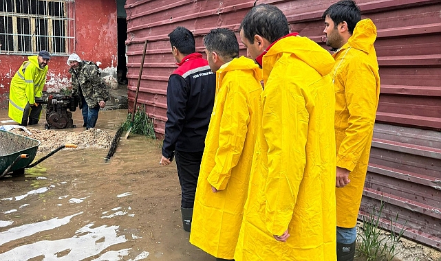 Sağanak Yağış Turhal’ı Vurdu: Hayvanlar Güvenli Bölgeye Sevk Edildi