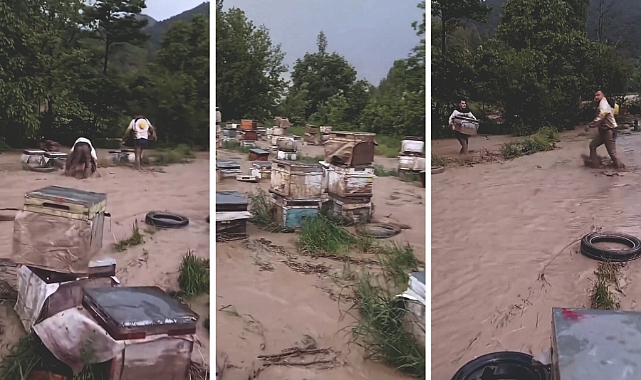 Sel Suları Niksar’da Kovanları Yuttu