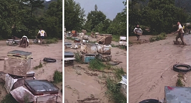 Sel Suları Niksar’da Kovanları Yuttu