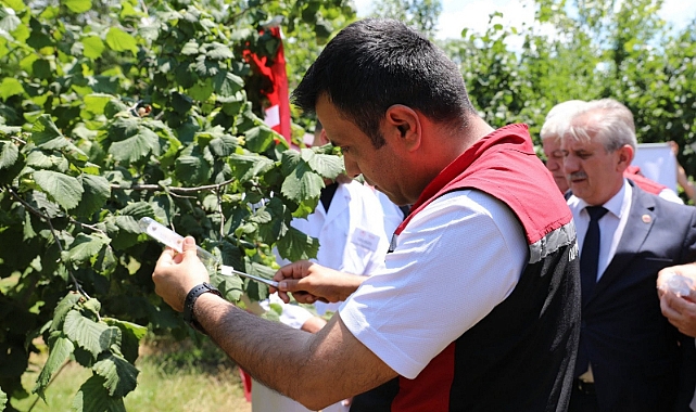 Niksar ve Erbaa’da Samuray Arıları Salındı