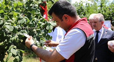 Niksar ve Erbaa’da Samuray Arıları Salındı