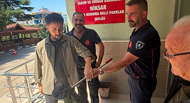 Niksar'da Yılan İhbarı Ekipleri Harekete Geçirdi