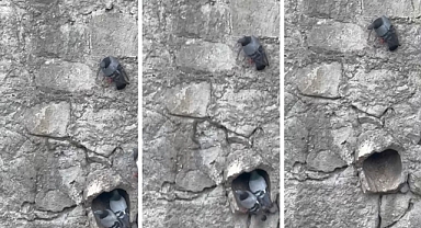 Niksar'ın Yılanlı Köprüsü Bu Kez Gerçekten Adını Yaşattı
