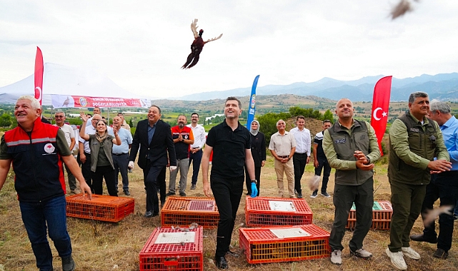 Erbaa’dan Yaban Hayatına Katkı