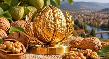 Niksar'ın Altın Cevizleri Kıyasıya Yarışacak